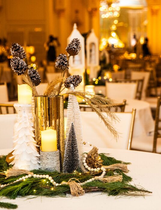 Event Planner Washington DC Birthday Parties Corporate Events